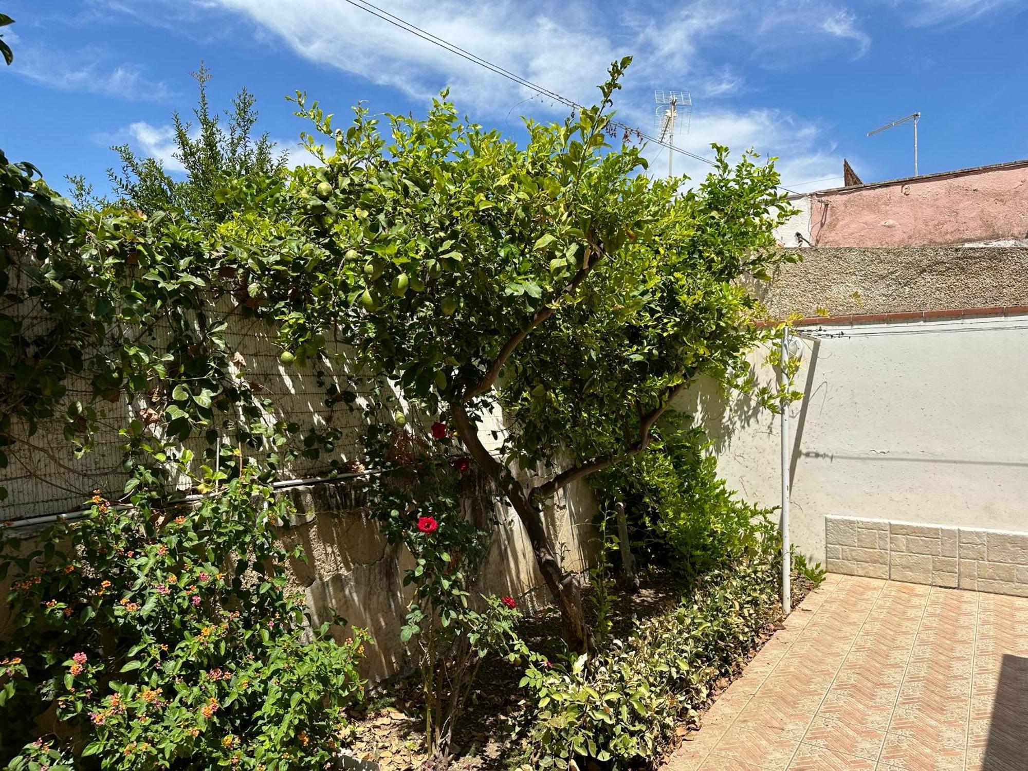 Villa San Leo San Leone Εξωτερικό φωτογραφία